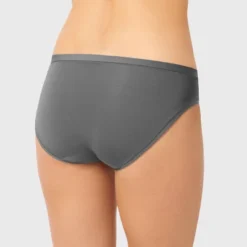 Hanes Women's 4pk Microfiber Underwear - Colors May Vary -Lady Clothing Store GUEST 8333651b 616f 462a a2e9 37e36585b173