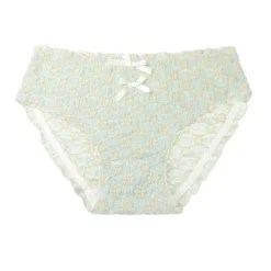 Agnes Orinda Women's Cute Floral Lace Brief Stretchy Cheeky Underwear -Lady Clothing Store GUEST d0b72e34 5057 4c40 bdc0 ba863cb341e0